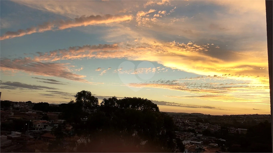 Foto REO1117419