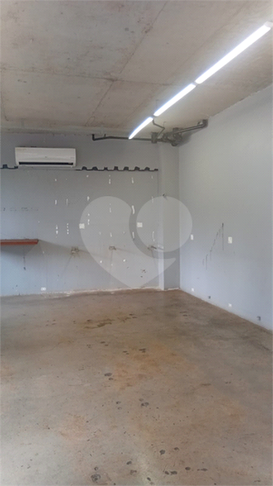 Foto REO1117425