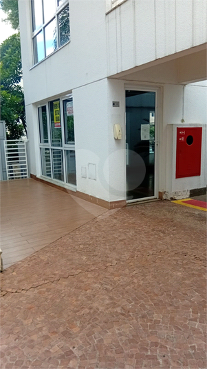 Foto REO1117425