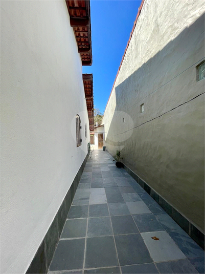 Foto REO1117427