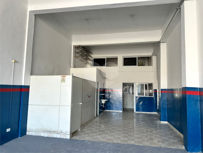 Foto REO1117437