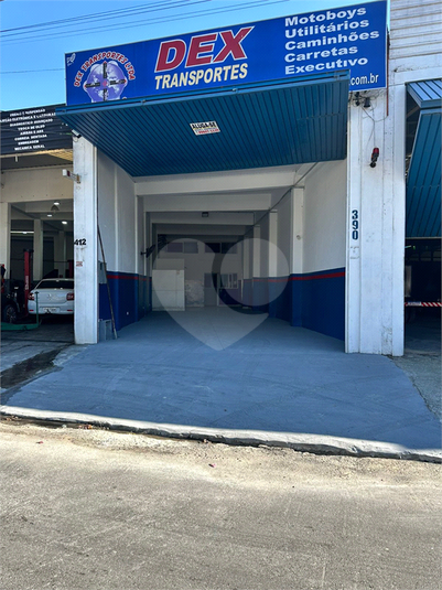 Foto REO1117437