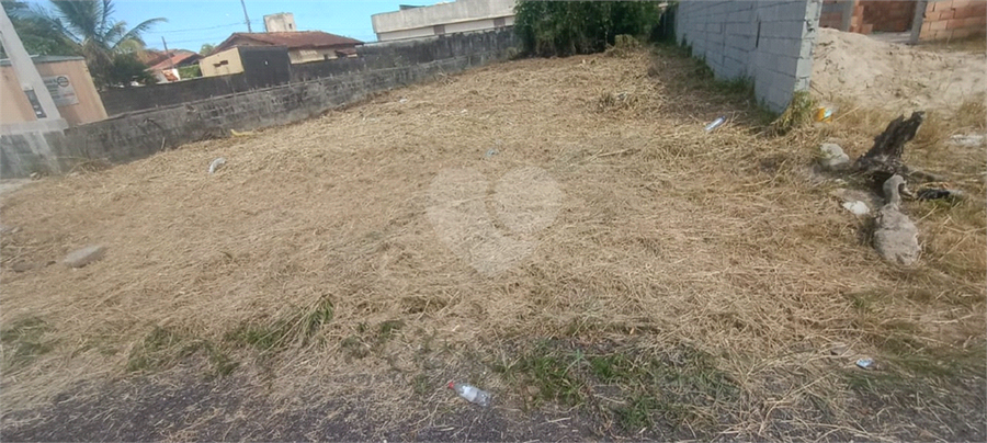 Foto REO1117444