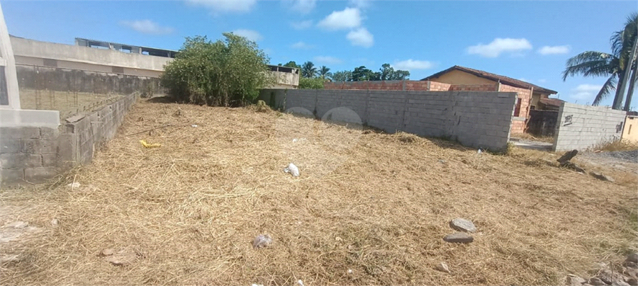 Foto REO1117444