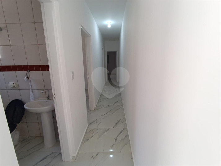 Foto REO1117452
