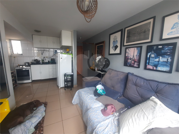 Foto REO1117464