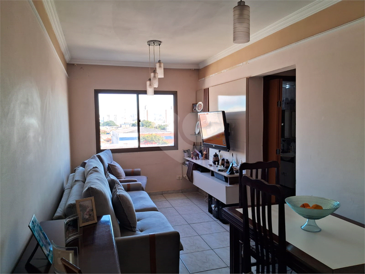 Foto REO1117471