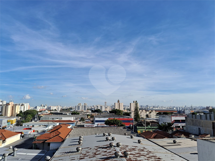 Foto REO1117471