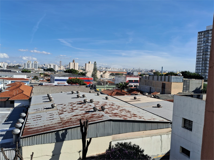 Foto REO1117471