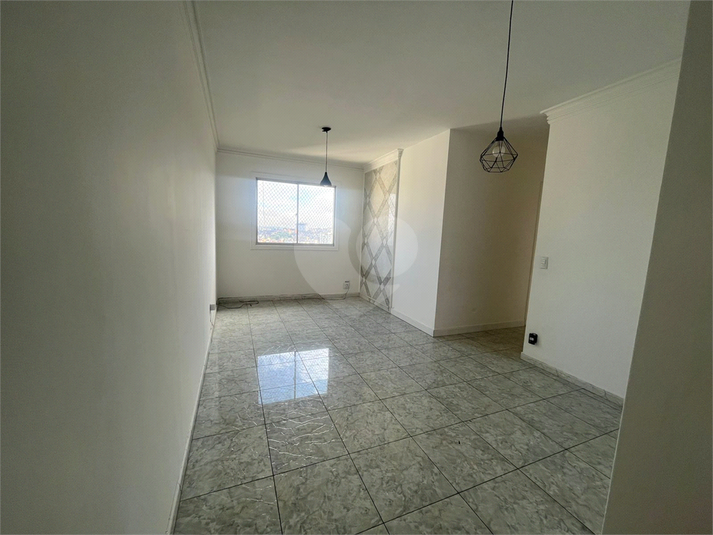 Foto REO1117478