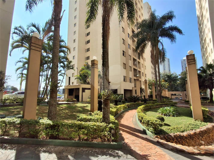 Foto REO1117491