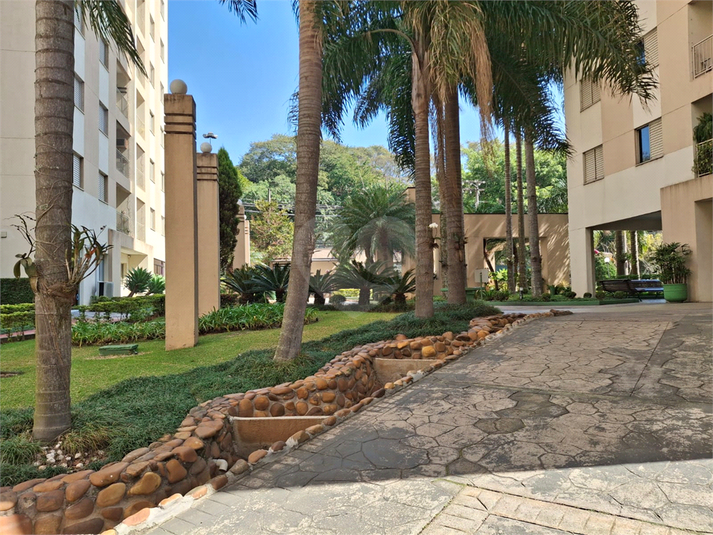 Foto REO1117491