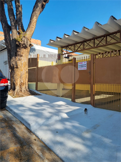 Foto REO1117498