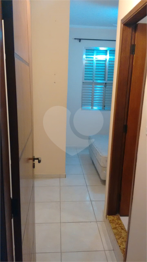Foto REO1117528
