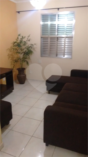 Foto REO1117528