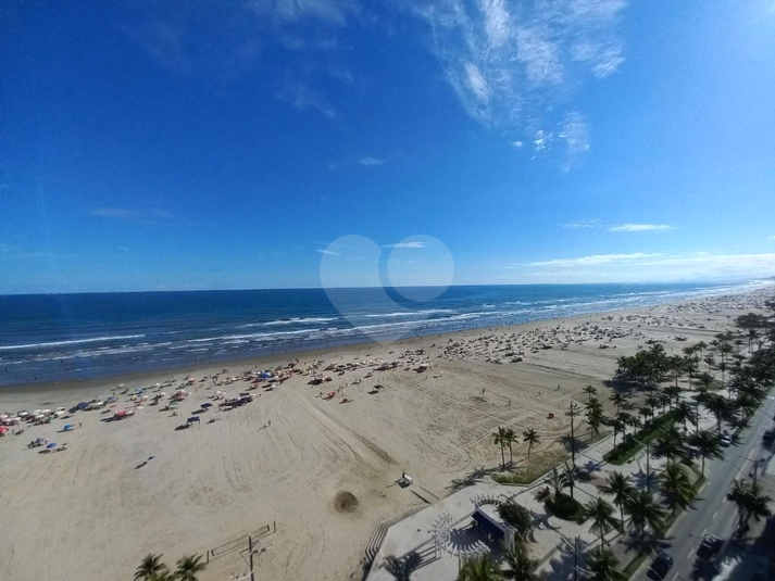 Foto REO1117530