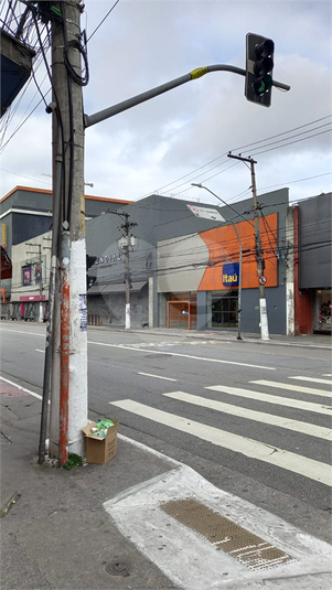 Foto REO1117537