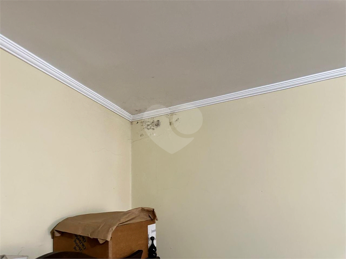 Foto REO1117556