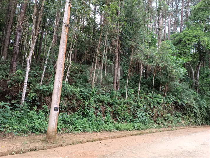 Foto REO1117560