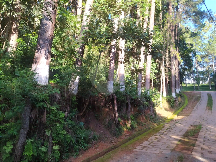 Foto REO1117560