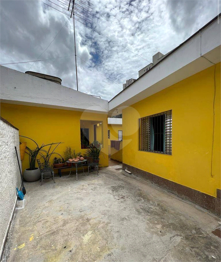 Foto REO1117565