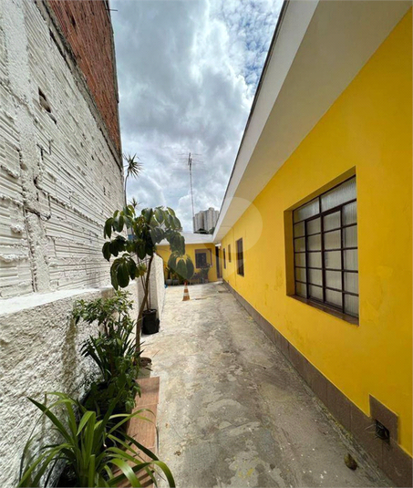 Foto REO1117565