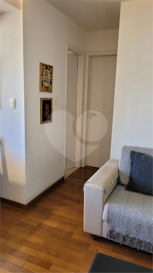 Foto REO1117566