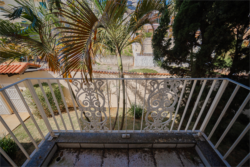 Foto REO1117579