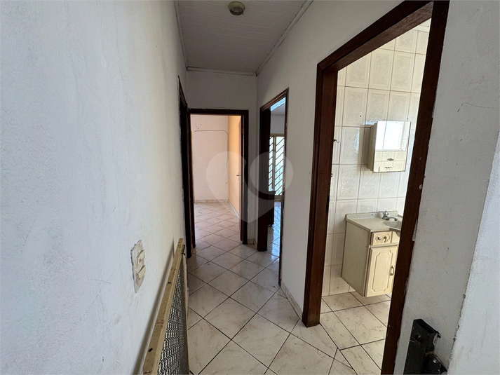 Foto REO1117584