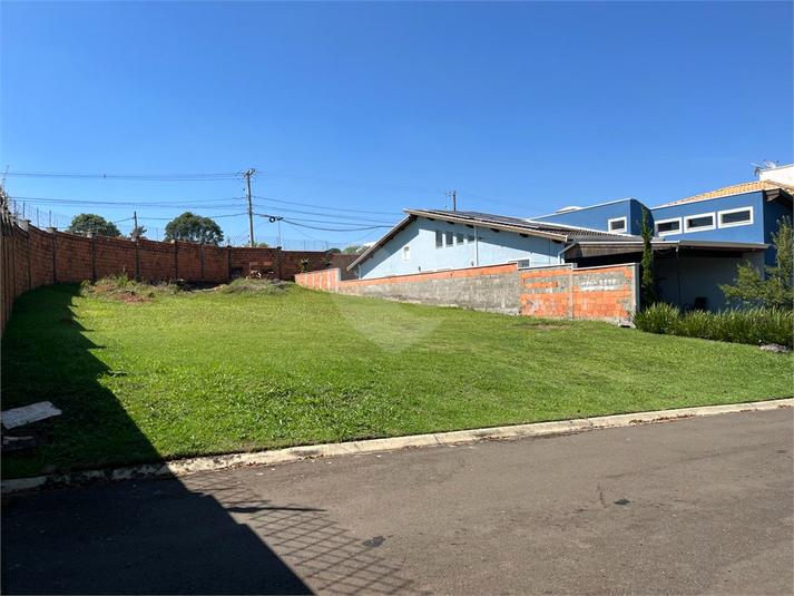 Foto REO1117592