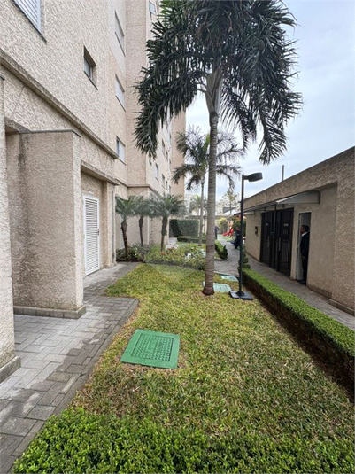 Foto REO1117593