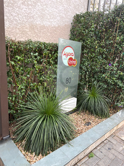 Foto REO1117593