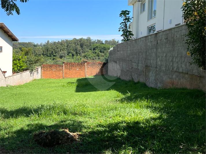 Foto REO1117609