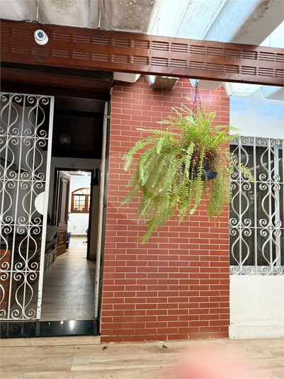Foto REO1117619