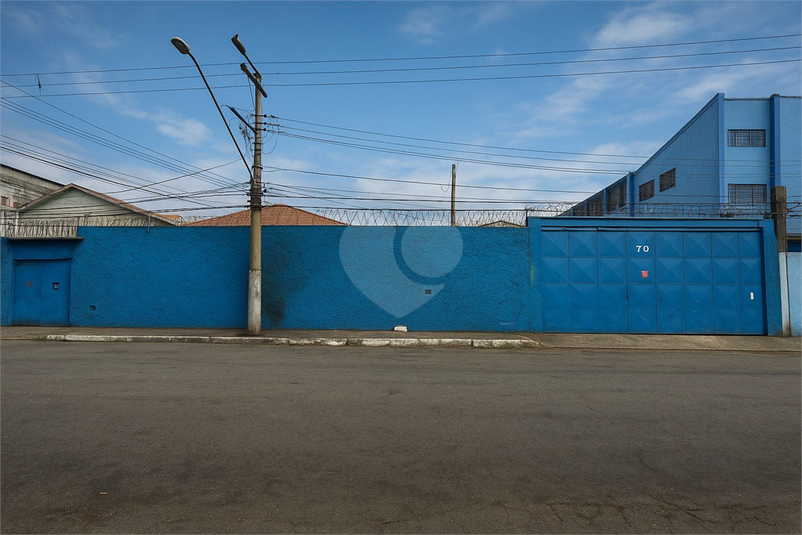 Foto REO1117626