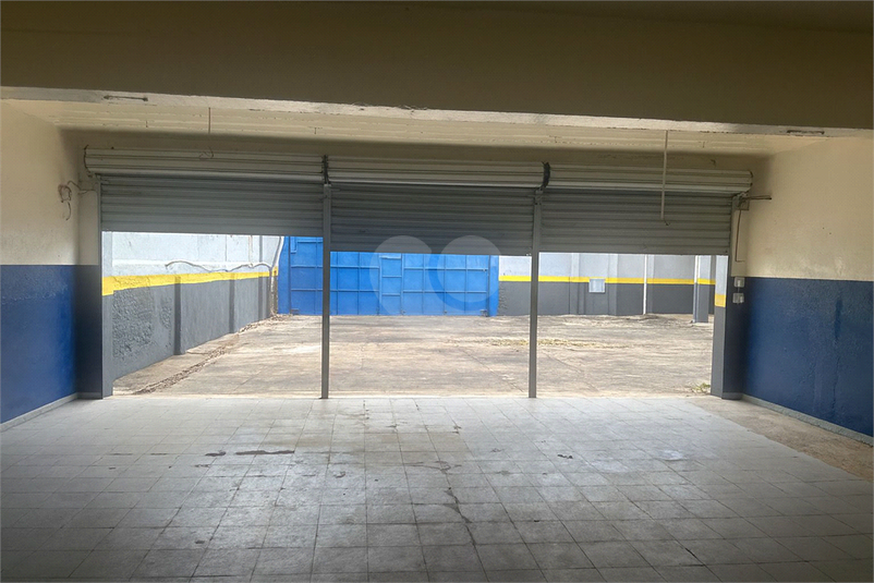 Foto REO1117626