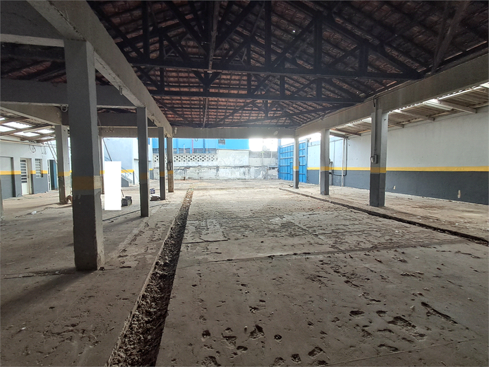 Foto REO1117626