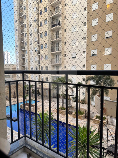 Foto REO1117627