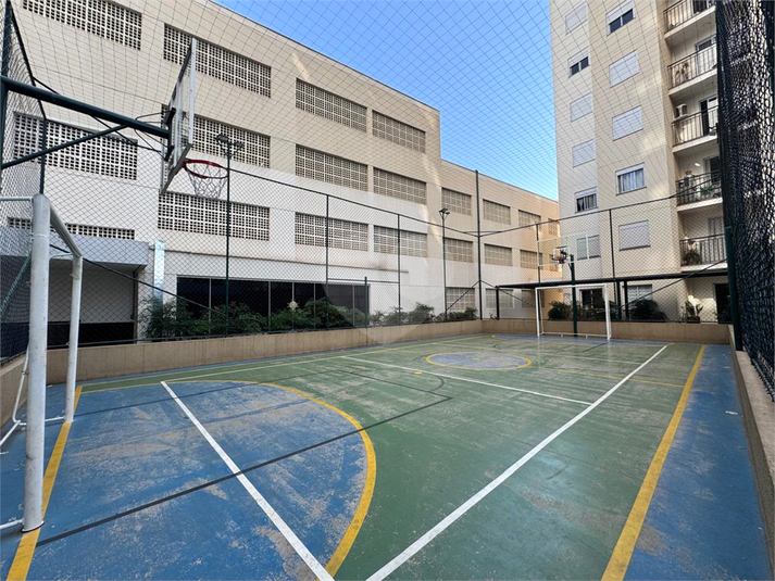Foto REO1117627