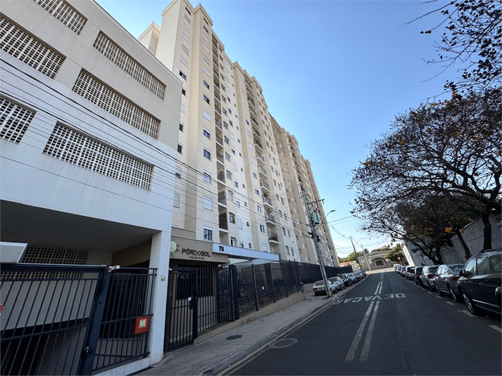 Foto REO1117627