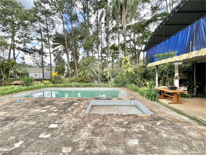 Foto REO1117630