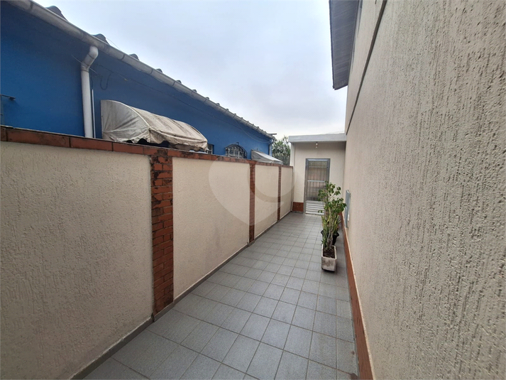 Foto REO1117634