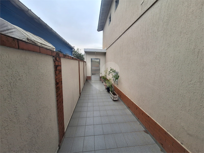 Foto REO1117634