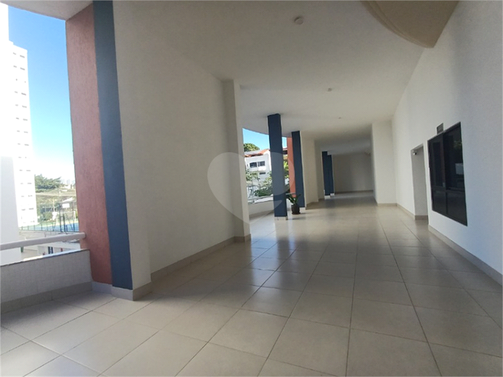 Foto REO1117642
