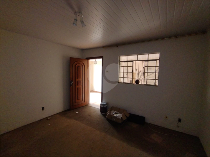 Foto REO1117650