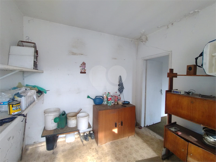 Foto REO1117650