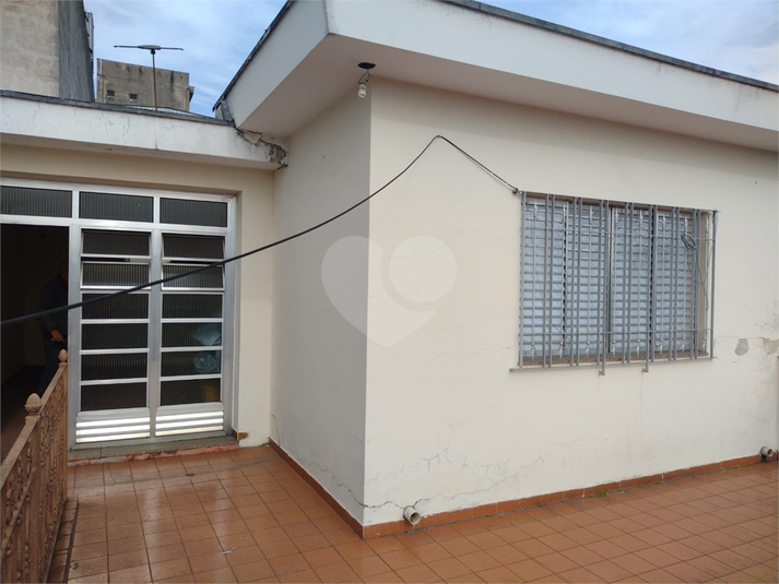 Foto REO1117650