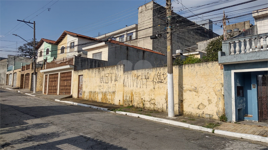Foto REO1117651