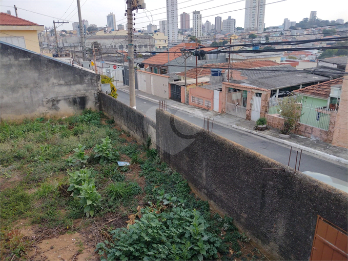 Foto REO1117651