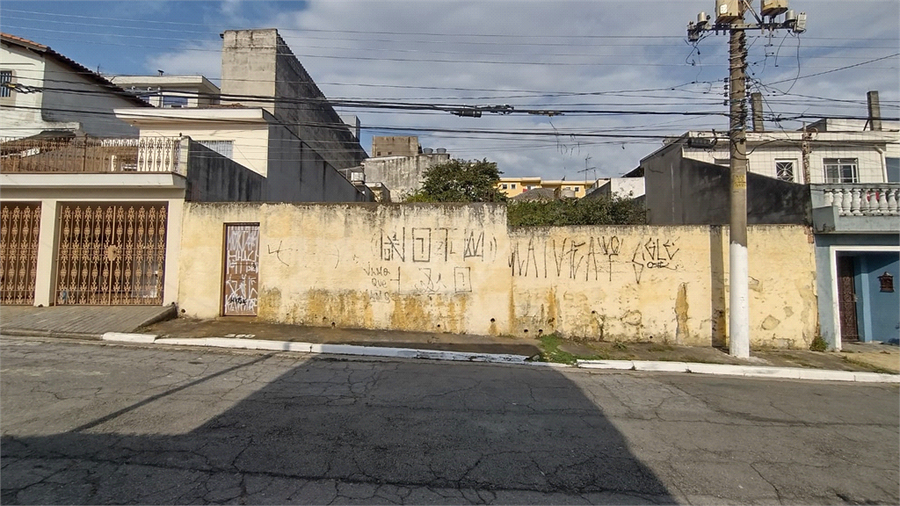 Foto REO1117651